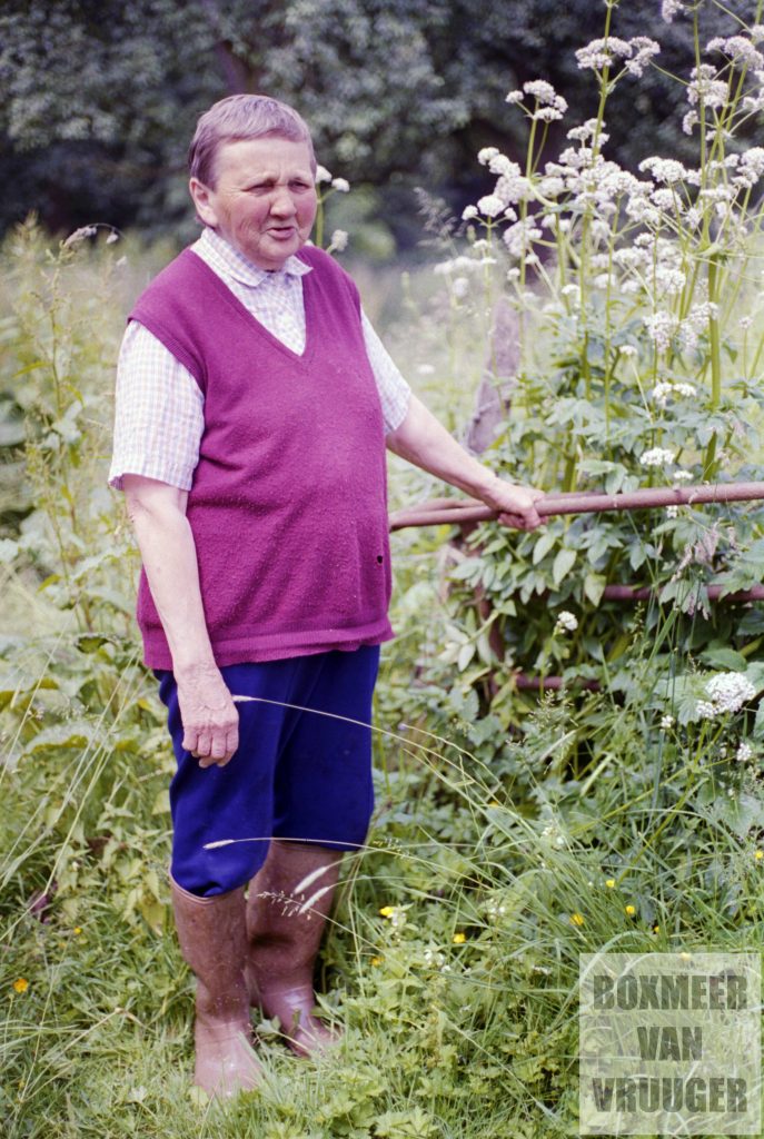 Lieneke Haerkens - Rongen
