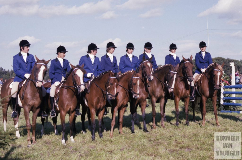 Ponyclub Remonte