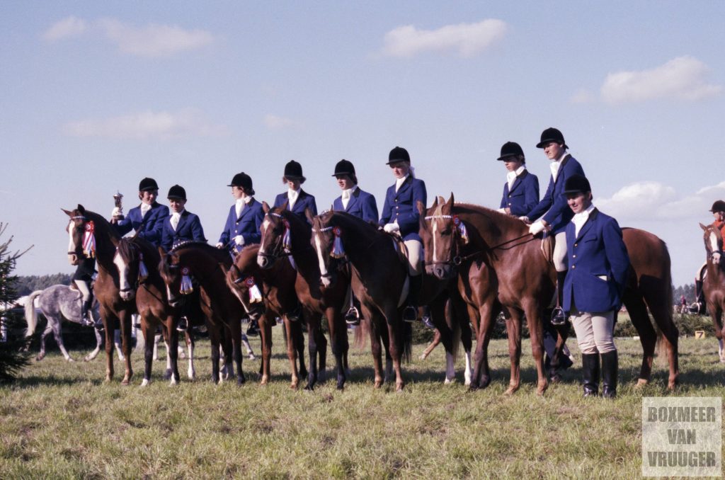 Ponyclub Remonte