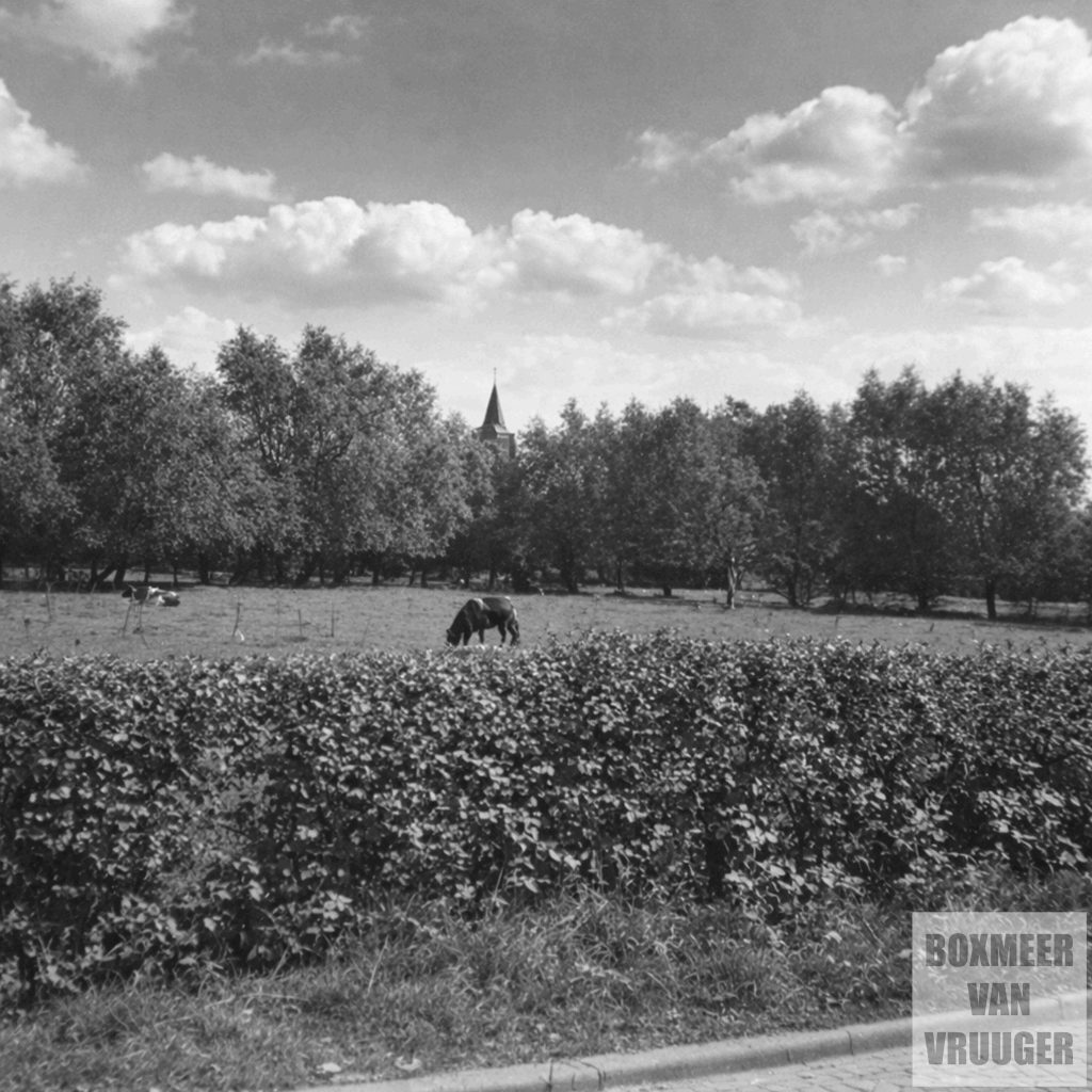 Burgemeester Verkuijlstraat